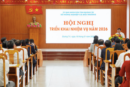 Quảng Trị tinh gọn mạnh ngành Nông nghiệp và Môi trường