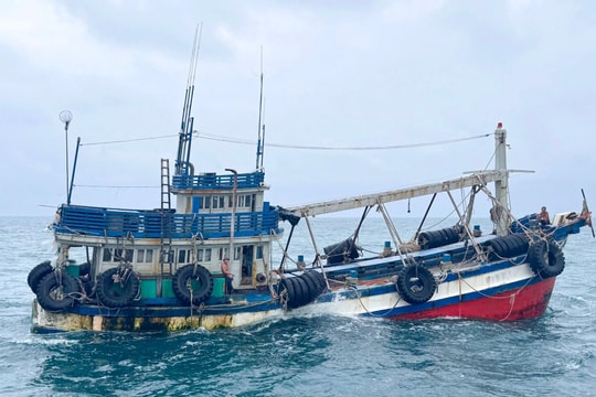Bắt giữ tàu cá vận chuyển trái phép dầu D.O trên biển