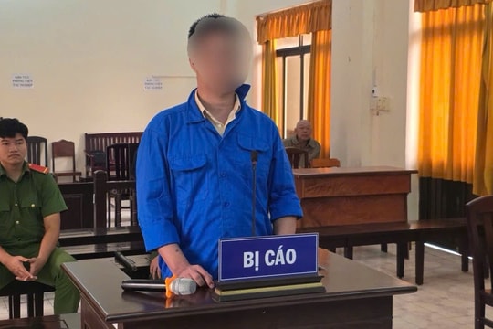 Lĩnh 3 năm tù và bị phạt 1 tỷ đồng vì vận chuyển trái phép hơn 35 tấn hải sản