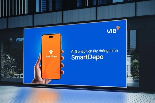 Công thức vận hành dòng tiền chờ cơ hội với SmartDepo VIB