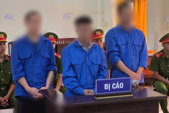 3 bị cáo lãnh án 29 năm tù vì tội giết người