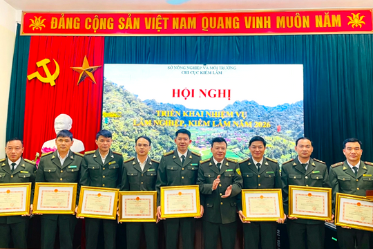 Nâng cao hiệu quả quản lý, bảo vệ và phát triển rừng