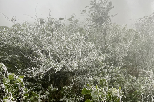 Rét còn kéo dài ở Bắc Bộ