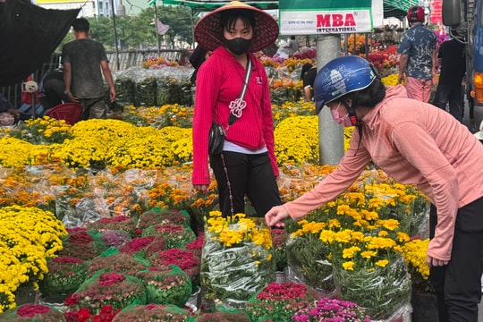 Tinh hoa vùng miền hội tụ tại Chợ hoa Tết Bình Đông