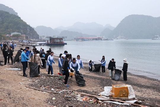Ra quân làm sạch môi trường vịnh Lan Hạ, di sản thế giới Cát Bà