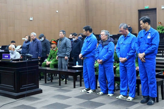 Nhiều cựu lãnh đạo Vicem thừa nhận hành vi phạm tội