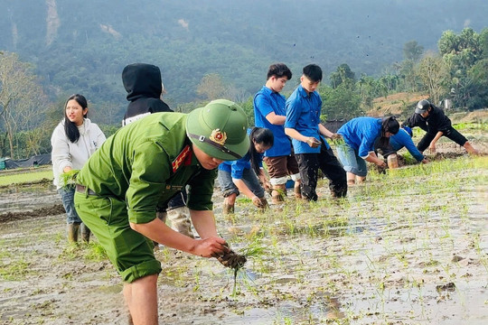Ấm lòng hình ảnh chiến sĩ Công an xã lội ruộng đi cấy cùng người dân