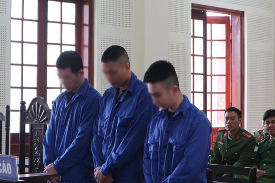 Cõng nhiều tiền án vẫn sa ngã vì ma túy