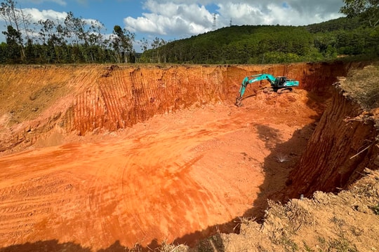 Đề nghị thanh tra vụ quả đồi ven quốc lộ 19 ở Gia Lai bị “xẻ thịt”