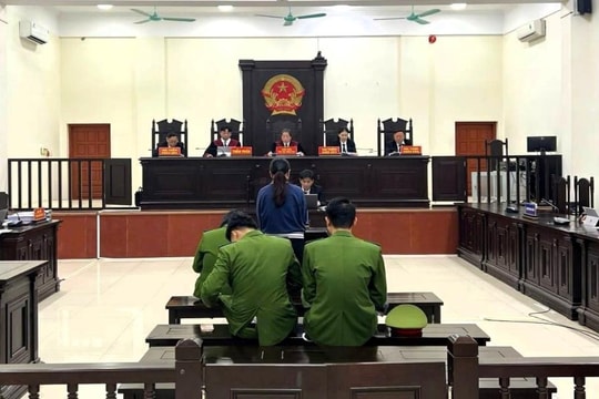 Lĩnh án 19 năm tù vì lừa đảo chiếm đoạt gần 13 tỷ đồng
