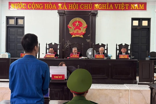 Dựng kịch bản đấu giá bất động sản để lừa đảo hơn 13,8 tỷ đồng