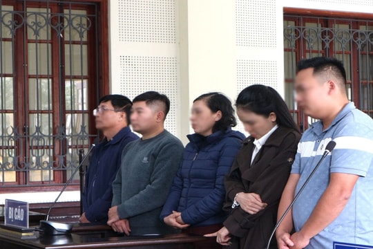Đưa người đi Mỹ trái phép, nhóm đối tượng lĩnh án