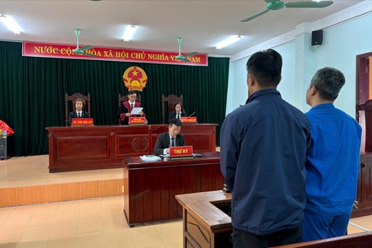'Cò' ghép thận lĩnh án