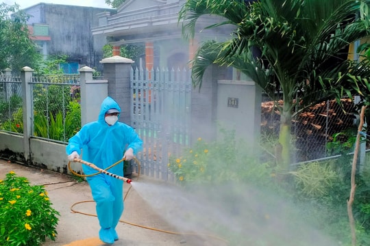 Hải Phòng tăng cường phòng, chống bệnh do virus Nipah gây ra