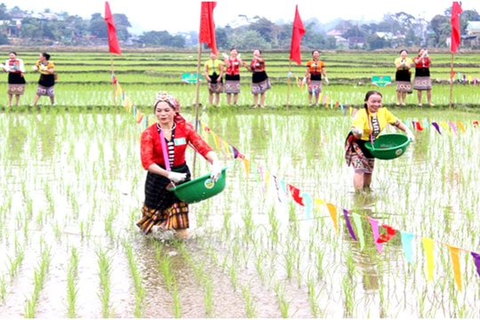 Khi ruộng đồng mở hội