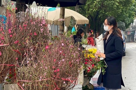 Người dân nhộn nhịp đi mua đào chơi Tết sớm