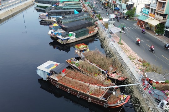 Chợ hoa xuân “Trên bến dưới thuyền” Tết Bính Ngọ có gì đặc sắc?