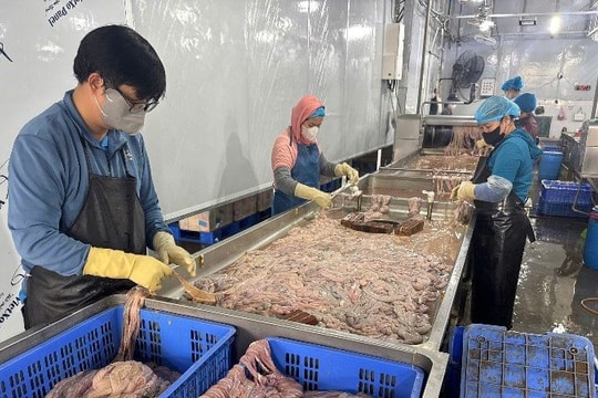 Thu giữ gần 60 tấn lòng lợn đổi màu, bốc mùi hôi thối ở Hà Nội