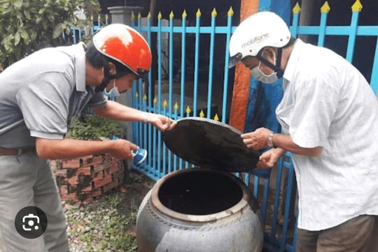 Tăng cường diệt lăng quăng, bọ gậy phòng sốt xuất huyết
