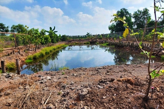 Chuyển đất vườn, ao sang đất ở: Hộ gia đình chỉ được áp dụng ưu đãi một lần