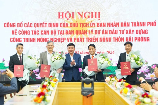 Hải Phòng tổ chức lại và bổ nhiệm lãnh đạo các Ban Quản lý dự án