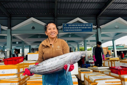 Chuyến tàu cuối năm đầy ắp cá, ngư dân Quảng Ngãi rộn ràng đón Tết