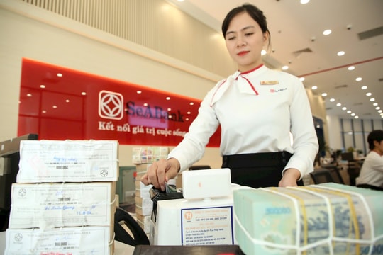 Những dấu ấn của SeABank năm 2025