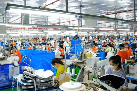 Hơn 700 doanh nghiệp mới gia nhập thị trường Đà Nẵng trong tháng 1/2026