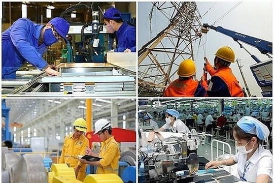 Điều chỉnh lộ trình Tổng điều tra kinh tế năm 2026