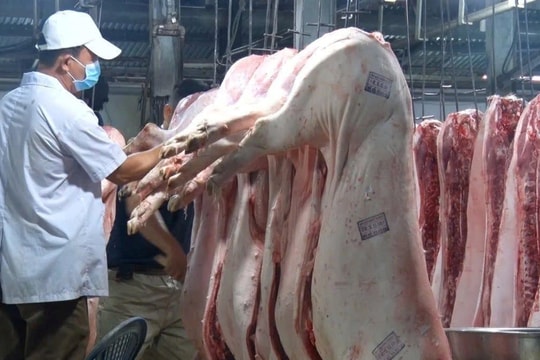 Chấn chỉnh cấp phép, tăng hậu kiểm lĩnh vực chăn nuôi và thú y