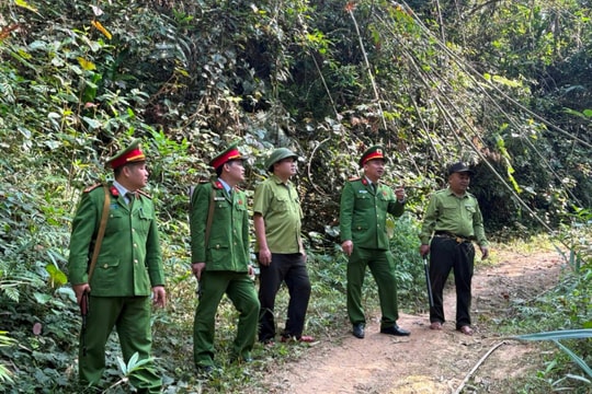 Xử lý nghiêm hành vi xâm hại động vật hoang dã tại Thanh Hóa