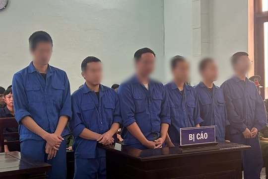 Góp tiền mua ma túy “bay lắc”, cùng nhau trả giá