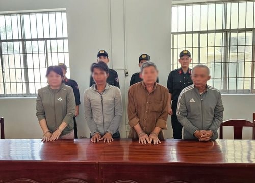 Bắt nhóm đối tượng làm giấy tờ giả để bán đất rừng phòng hộ