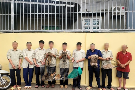 Triệt phá nhóm đối tượng chuyên trộm cắp mèo số lượng lớn