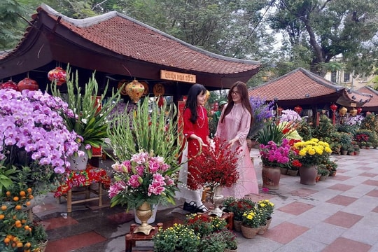 Hồi sinh nét đẹp những quán hoa bên dải trung tâm thành phố Hải Phòng