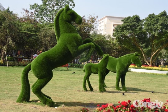 Công viên Phan Đình Phùng: Điểm hẹn xanh của người dân TP.HCM dịp Tết