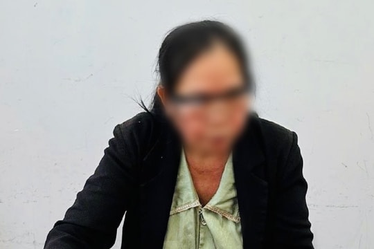 Khởi tố người phụ nữ đăng thông tin sai sự thật, xúc phạm cơ quan tư pháp