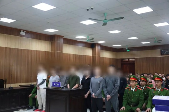 Khống chế phóng viên, khai thác đất vượt phép, lĩnh 45 tháng tù