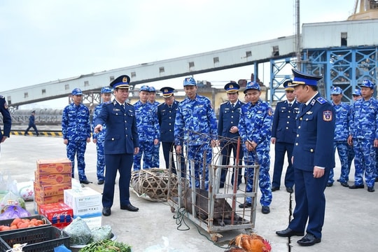 Tàu CSB 4036 và CSB 1011 lên đường thực thi nhiệm vụ trên biển xuyên Tết