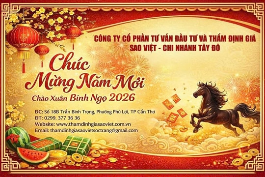 Sự chuyên nghiệp của Công ty Tư vấn Đầu tư và Thẩm định giá Sao Việt - Chi nhánh Tây Đô