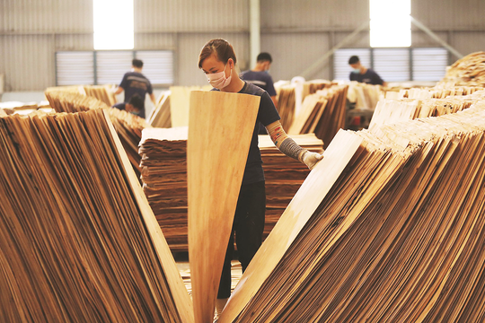 Cơ hội tái cấu trúc và nâng tầm vị thế ngành gỗ Việt