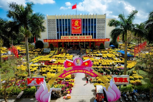 Rực rỡ chợ hoa xuân Huế - Hồn Xuân giữa lòng Cố đô