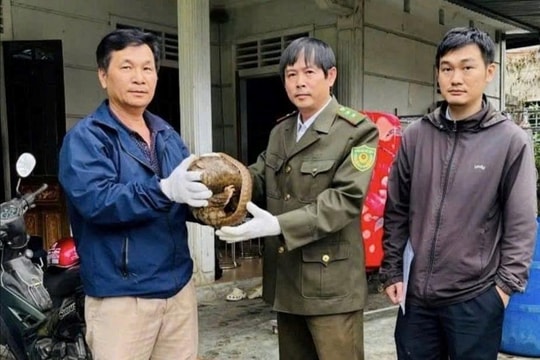 Người dân giao nộp tê tê quý hiếm cho lực lượng kiểm lâm