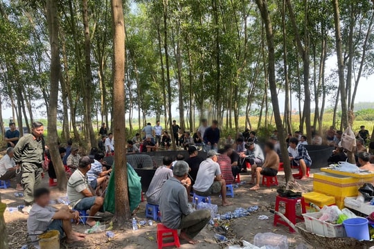 Triệt phá tụ điểm đá gà ăn tiền, bắt quả tang 61 đối tượng