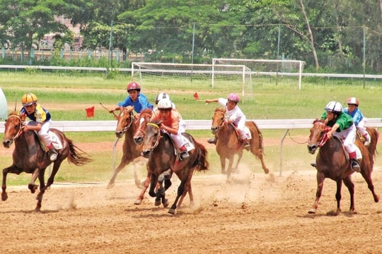 Bâng khuâng vó ngựa đường đua