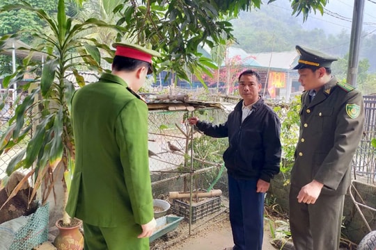 Chấn chỉnh tình trạng bày bán chim hoang dã phóng sinh