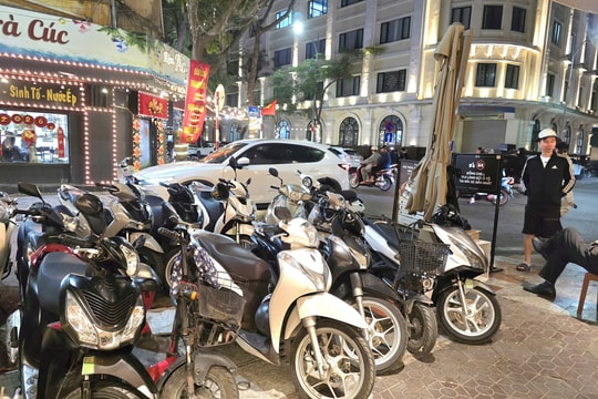 CSGT Hải Phòng tạm giữ 398 phương tiện vi phạm dịp Tết Nguyên đán