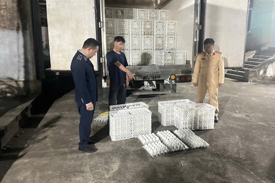 Quảng Ninh: Phạt 90 triệu đồng vì vận chuyển gần 29.000 trứng gia cầm không rõ nguồn gốc
