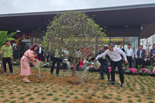 TAND tỉnh Thanh Hóa tổ chức Tết trồng cây