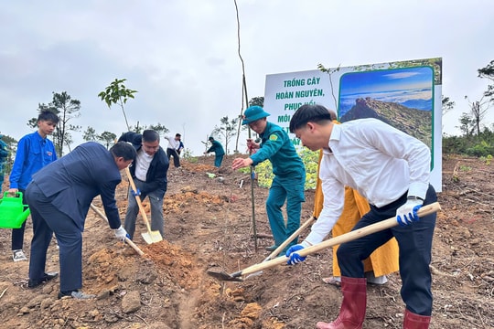 Quảng Ninh phát động Tết trồng cây, quyết tâm phủ xanh vùng đất di sản